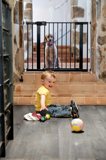 metalna-pregrada-za-stubiste-crna