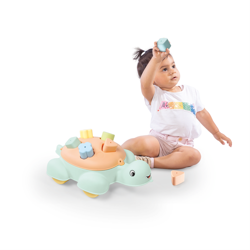 kornjaca-sa-oblicima